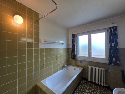 Maison individuelle composée de deux appartements avec grand jardin et deux garages image 11