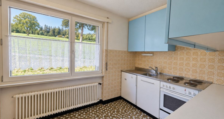 Maison individuelle composée de deux appartements avec grand jardin et deux garages image 7