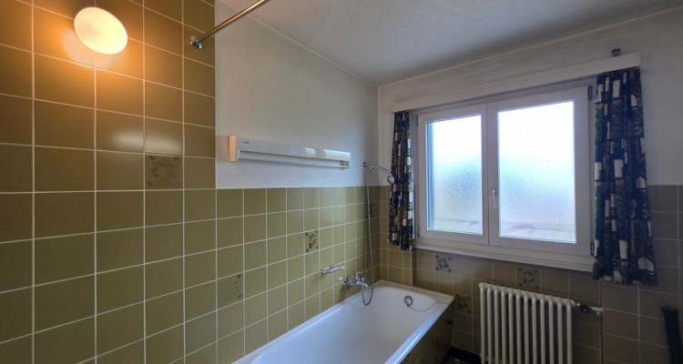 Maison individuelle composée de deux appartements avec grand jardin et deux garages image 11