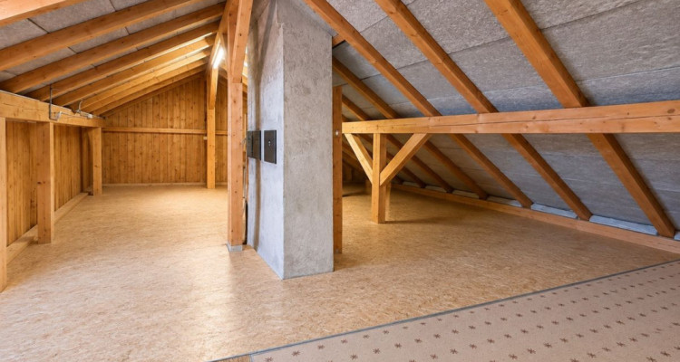 Maison individuelle composée de deux appartements avec grand jardin et deux garages image 13