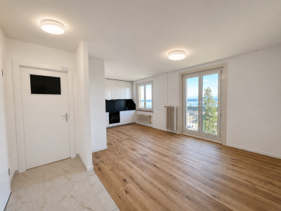 Appartement entièrement rénové avec vue sur le lac et les Alpes image 1