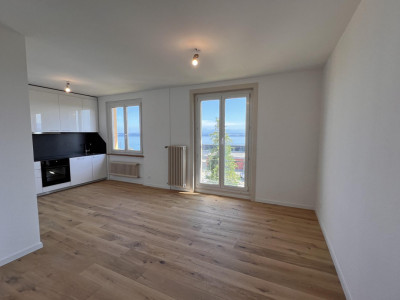 Appartement entièrement rénové avec vue sur le lac et les Alpes image 4