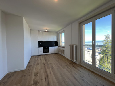 Appartement entièrement rénové avec vue sur le lac et les Alpes image 5