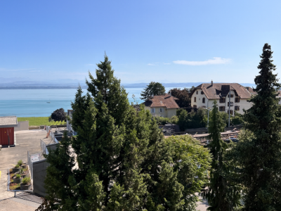 Appartement entièrement rénové avec vue sur le lac et les Alpes image 6