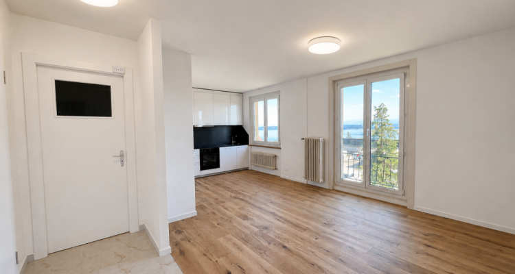 Appartement entièrement rénové avec vue sur le lac et les Alpes image 1