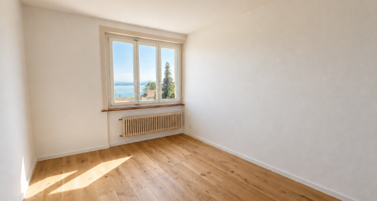 Appartement entièrement rénové avec vue sur le lac et les Alpes image 2