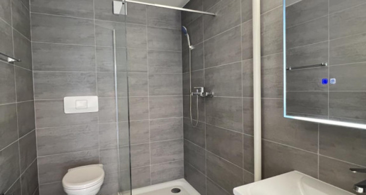 Appartement entièrement rénové avec vue sur le lac et les Alpes image 3