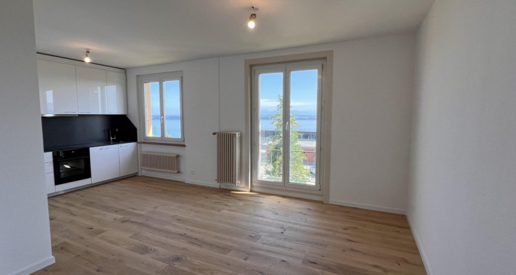 Appartement entièrement rénové avec vue sur le lac et les Alpes image 4