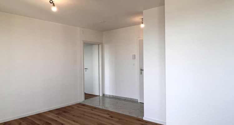 Appartement entièrement rénové avec vue sur le lac et les Alpes image 7