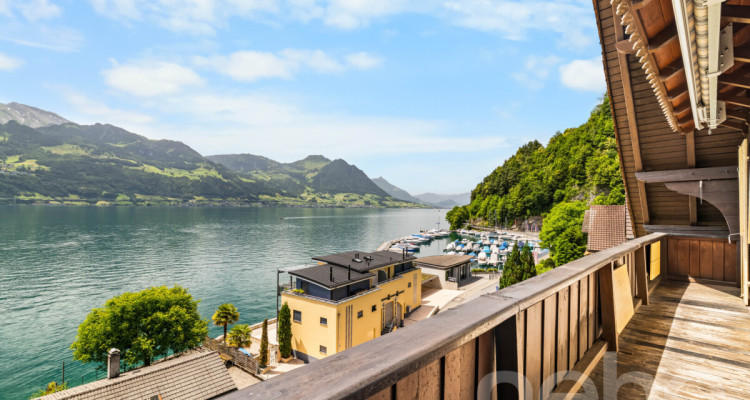 Einmalige Seeliegenschaft mit aussergewöhnlichem Entwicklungspotenzial image 10