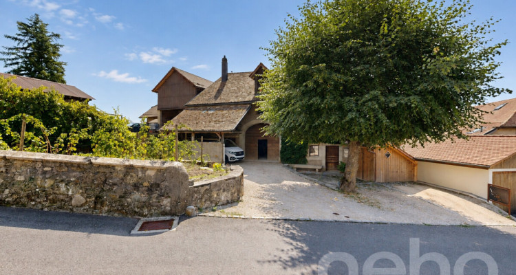 Maison de village de 1850 au cachet préservé, atelier de 185 m² image 1