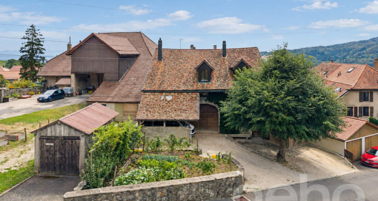 Maison de village de 1850 au cachet préservé, atelier de 185 m² image 11