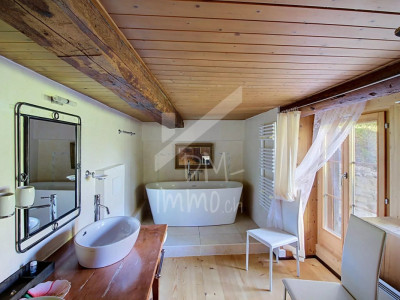 Un appartement plein de charme en peine nature image 7