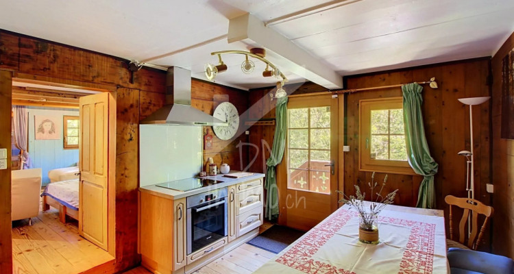 Un appartement plein de charme en peine nature image 2
