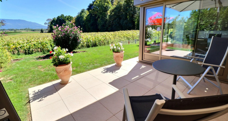 Magnifique appartement en rez de jardin vue dégagée sur la campagne en viager occupé sans rente image 3
