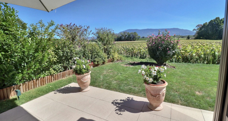 Magnifique appartement en rez de jardin vue dégagée sur la campagne en viager occupé sans rente image 5