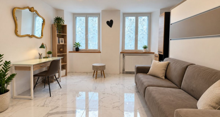 Maison jumelée composée de 5 appartements entièrement rénovés image 3