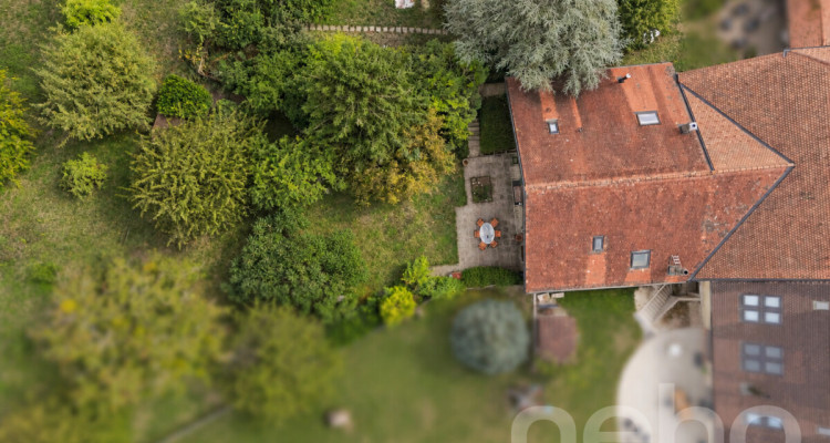Villa 4.5 pièces de caractère, avec jardin paisible et arboré image 11