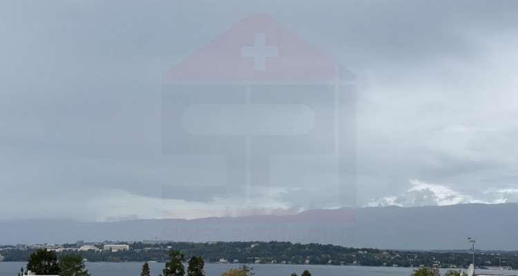 Magnifique Attique de 6 pièces avec vue sur le lac image 6