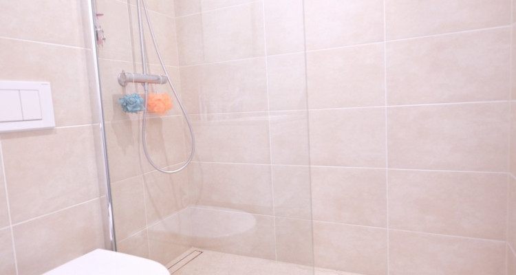 Magnifique duplex à la Résidence du Vallon / 5 pièces / 3 chambres image 6