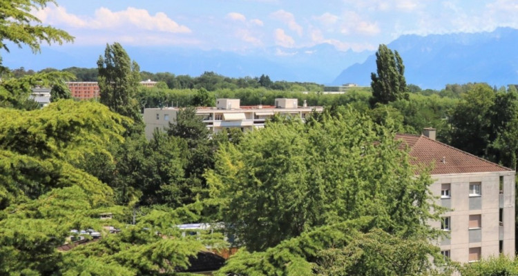 Unique à Ecublens !!  image 1