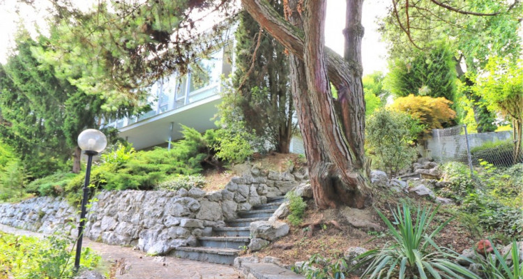 Unique à Ecublens !!  image 2