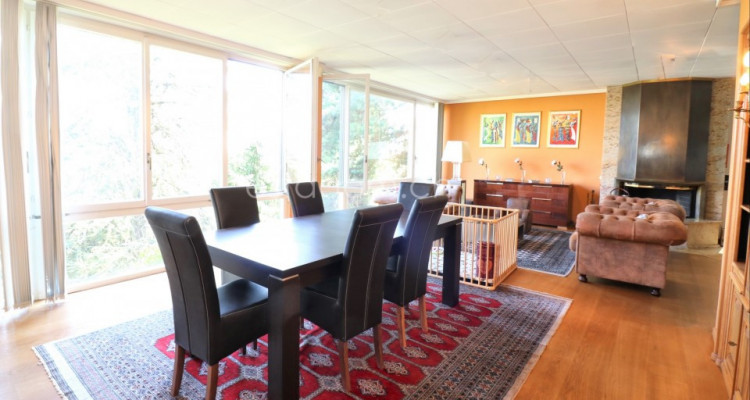 Unique à Ecublens !!  image 8