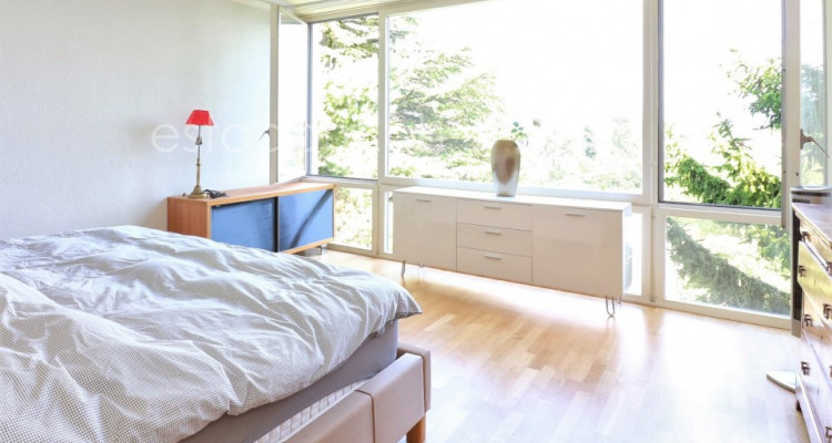 Unique à Ecublens !!  image 10