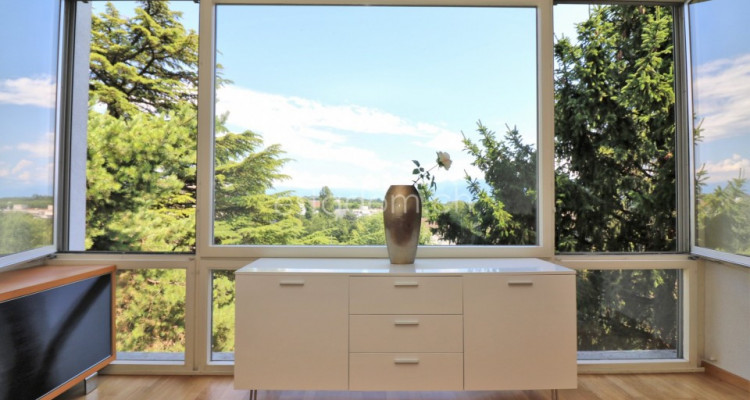 Unique à Ecublens !!  image 11