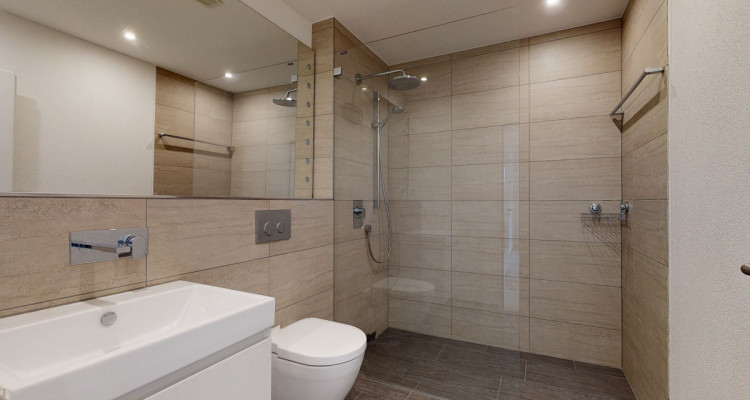 Willkommen in Stallikon image 2