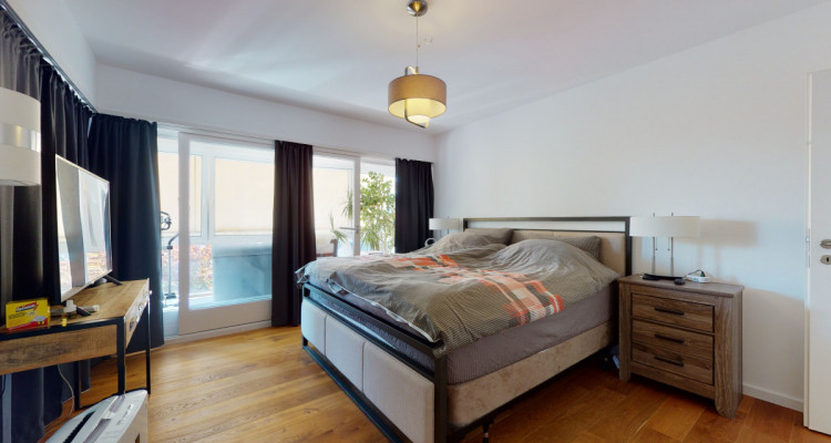 Grande villa avec piscine et vue sur le lac à La Tour-de-Peilz image 9