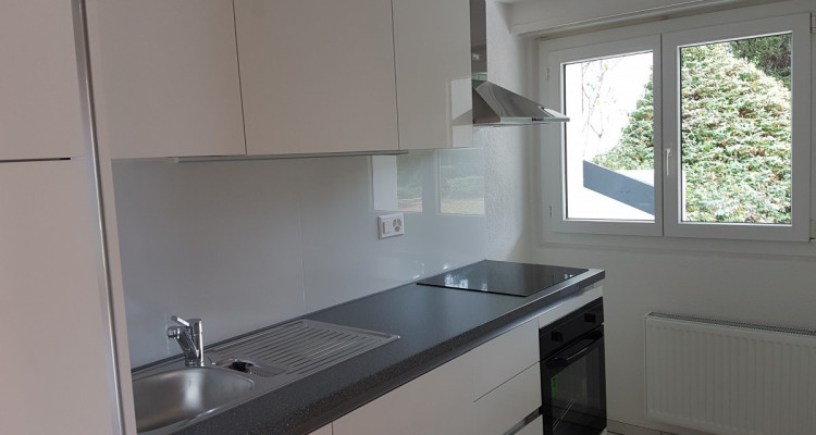 Grande villa avec piscine et vue sur le lac à La Tour-de-Peilz image 11