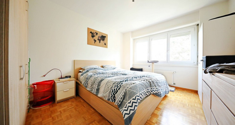 Magnifique 2,5 p / 1 chambre / 1 SDB / terrasse vue lac / piscine  image 3