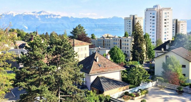 Magnifique 2,5 p / 1 chambre / 1 SDB / terrasse vue lac / piscine  image 5