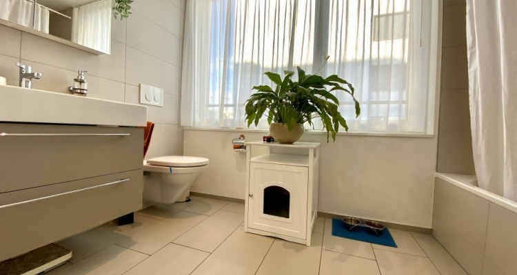 TOLLE UND MODERNE PARTERREWOHNUNG image 12