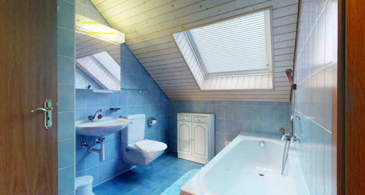 Entre les gares de Tannay et Coppet image 10