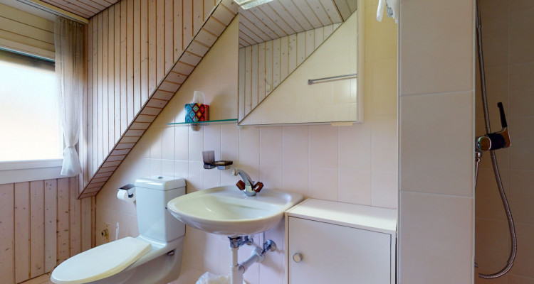 Entre les gares de Tannay et Coppet image 12