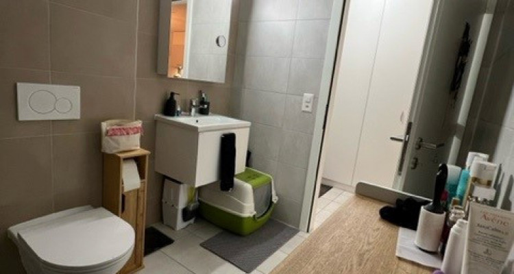 Appartement de 3 pièces à louer à Orny  image 8