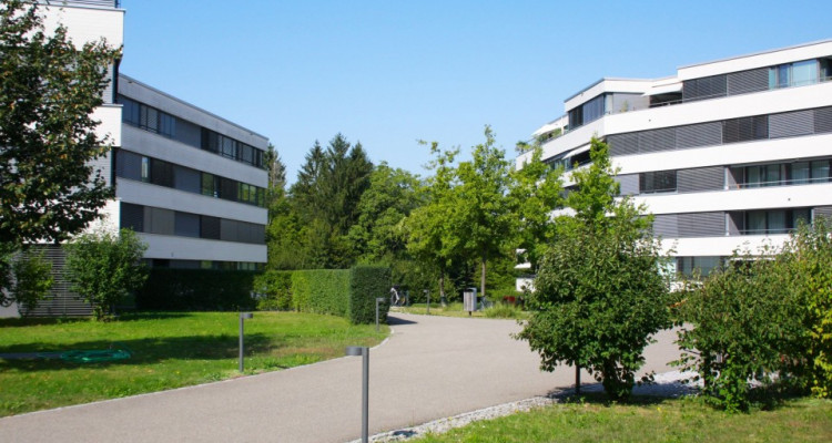 WOHNUNG IM GRÜNEN image 8