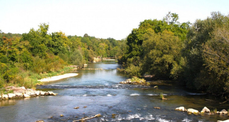 WOHNUNG IM GRÜNEN image 9