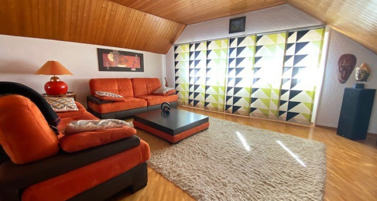 Charmant et spacieux appartement en duplex  image 11