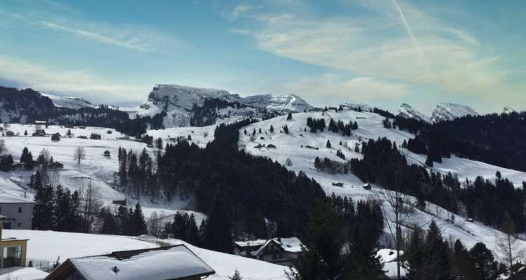 Willkommen im Sommer- und Winterparadies Wäldli ! image 1