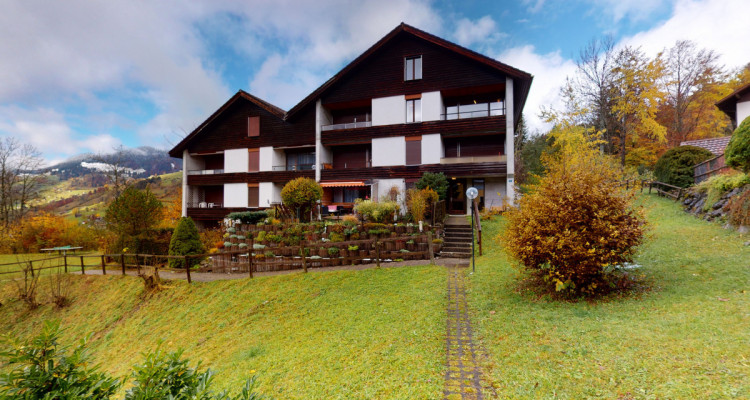 Willkommen im Sommer- und Winterparadies Wäldli ! image 2