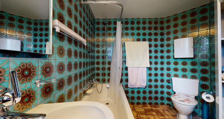 Willkommen im Sommer- und Winterparadies Wäldli ! image 8