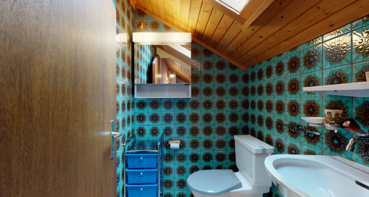 Willkommen im Sommer- und Winterparadies Wäldli ! image 9