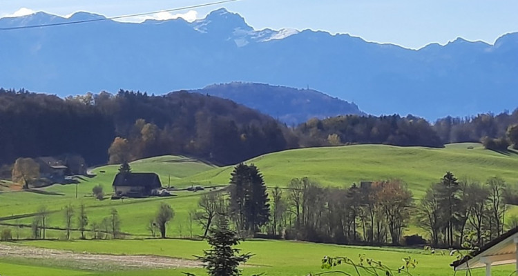 Villa de 2 appartements de 4.5 et de 2.5 pièces en construction image 3