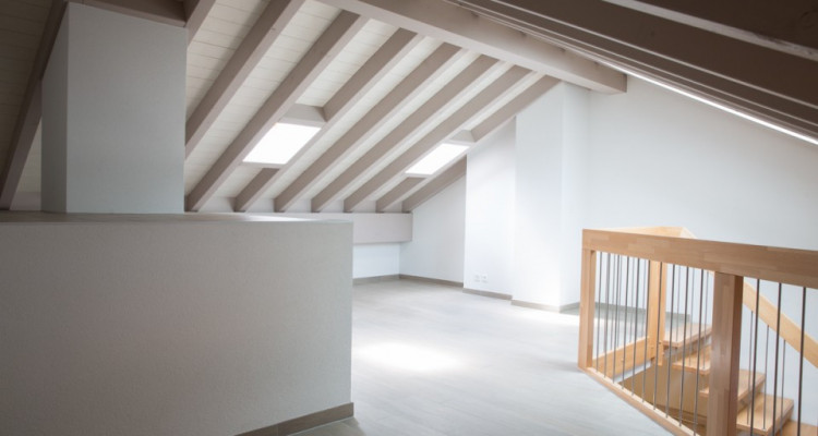 Mafgnifique 3.5 pces + mezzanine en attique denv. 118m2 image 3