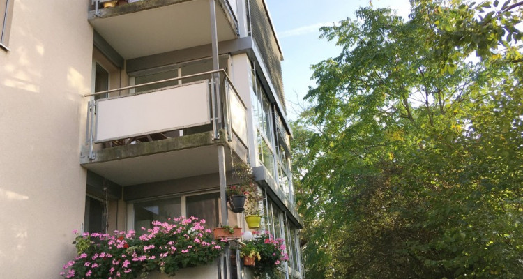 Wunderschöne Wohnung 4,5 Z / 3 Schlafzimmer / 1 BDZ / Wintergarten  image 2