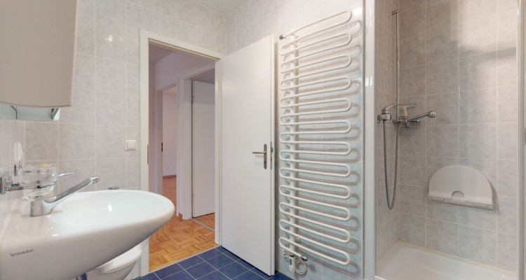 Les Moulins de Versoix image 9