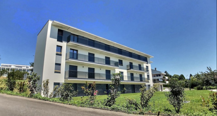 Magnifique studio à louer // Rez avec terrasse / St-Sulpice image 1